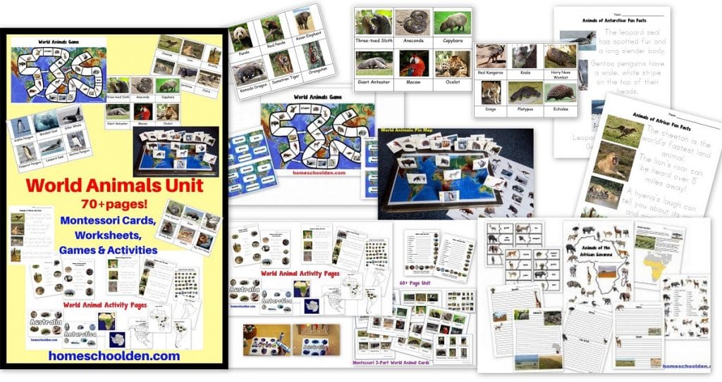 https://953129f2.delivery.rocketcdn.me/wp-content/uploads/2020/03/World-Animals-Unit-Montessori-Cards-Games-Activities-and-more.jpg